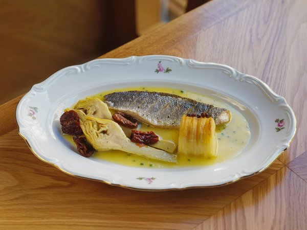 La Guía Definitiva para Elegir la Iluminación Ideal en tu Acuario de Agua Dulce