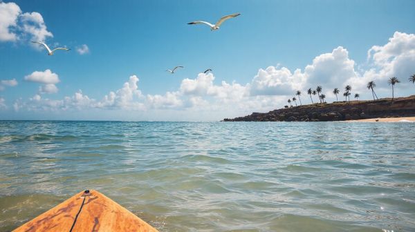 Top 5 razones para practicar paddle surf en tus viajes